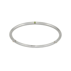Birthstone 14K Skinny Bangle