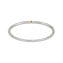 Birthstone 14K Skinny Bangle