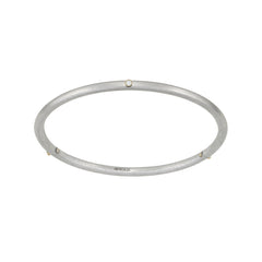 Birthstone 14K Skinny Bangle